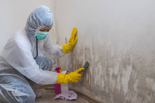 Forensic Mold Investigation in Four Oaks, NC