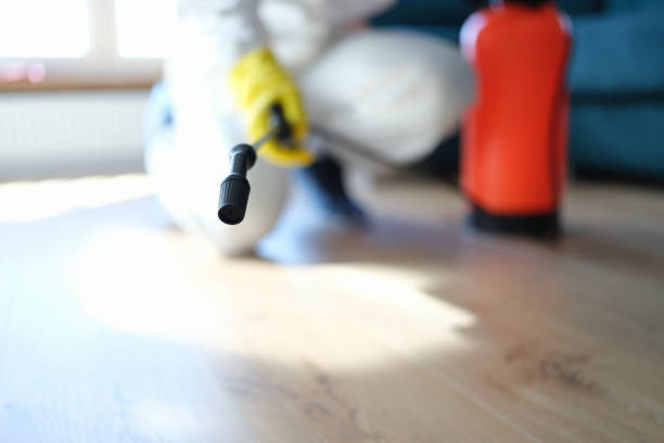 Best Mold Damage Restoration  in Four Oaks, NC